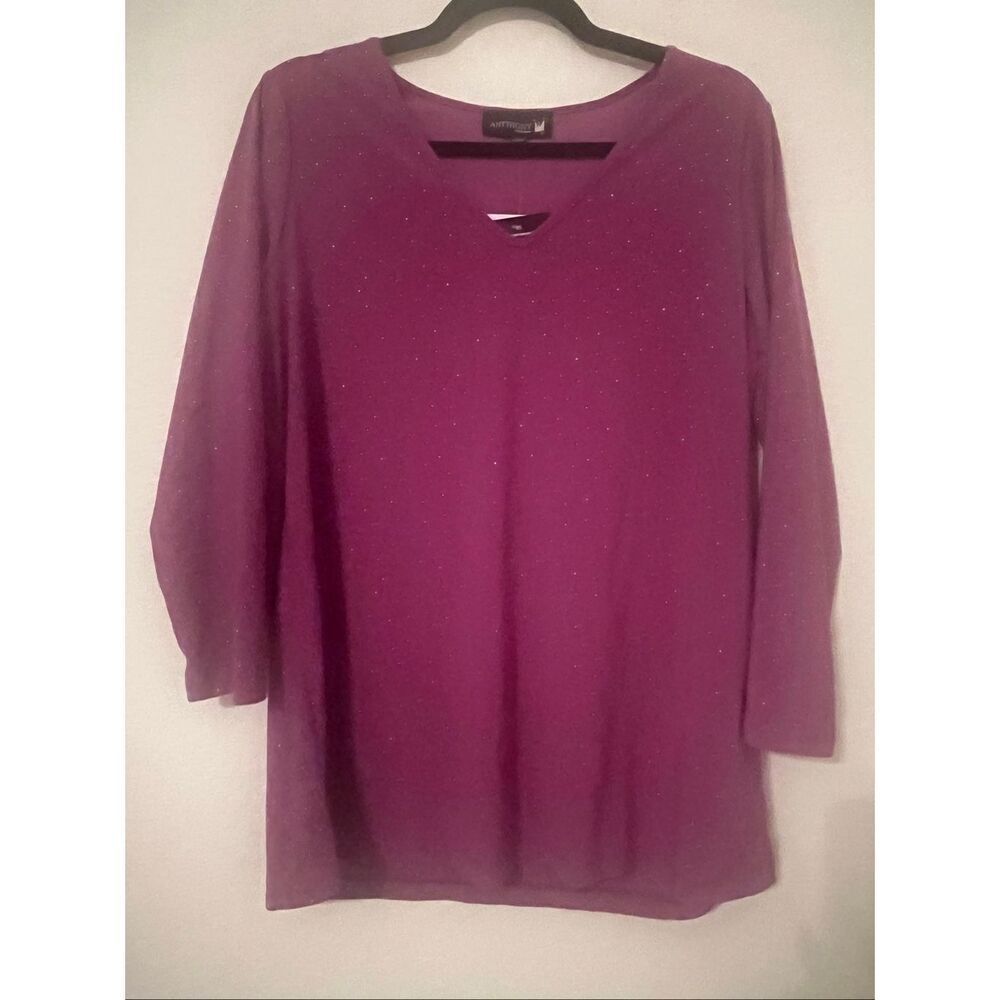 Antthony Original Plum Purple Sparkle V-Neck Top 3/4 Sleeve Rhinestone Blouse NE